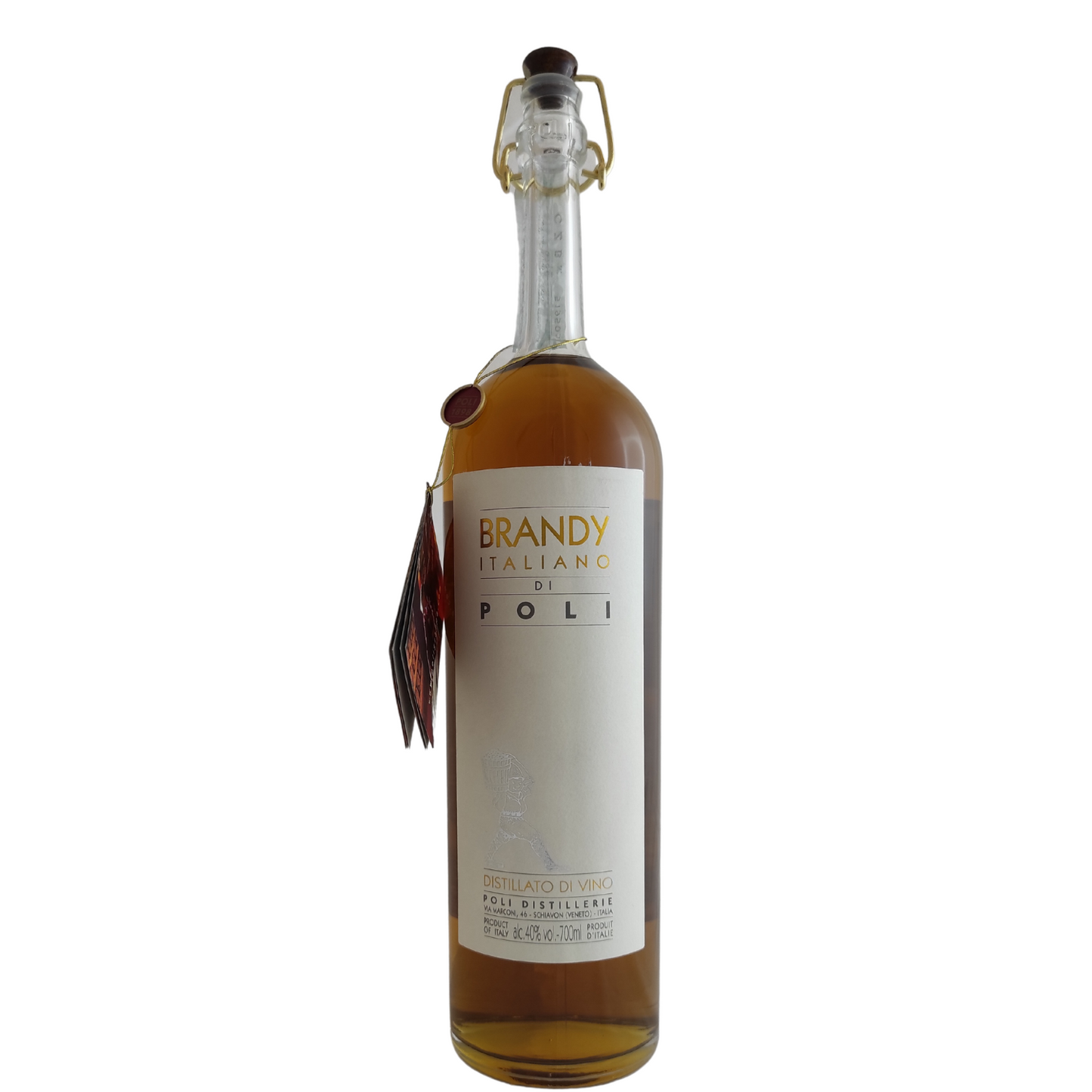 Brandy Poli